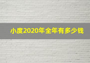 小度2020年全年有多少钱