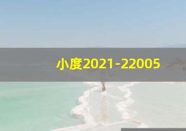 小度2021-22005