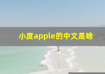 小度apple的中文是啥