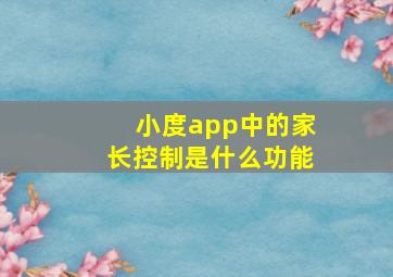 小度app中的家长控制是什么功能