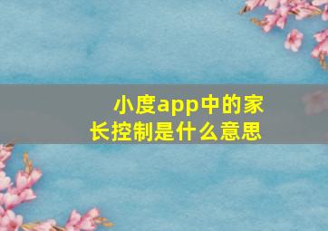 小度app中的家长控制是什么意思