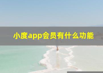 小度app会员有什么功能