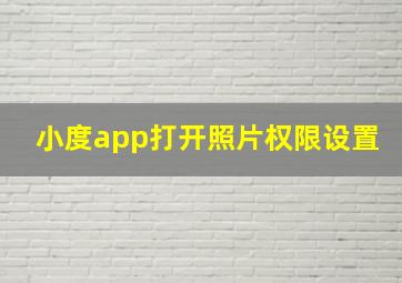 小度app打开照片权限设置