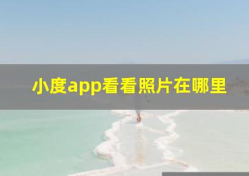 小度app看看照片在哪里