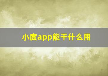 小度app能干什么用