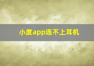 小度app连不上耳机