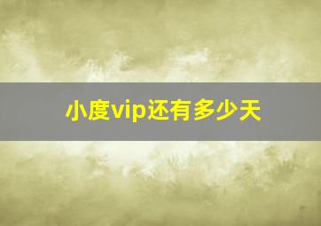 小度vip还有多少天