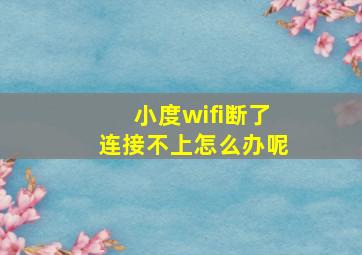 小度wifi断了连接不上怎么办呢