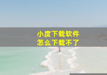 小度下载软件怎么下载不了