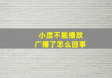 小度不能播放广播了怎么回事