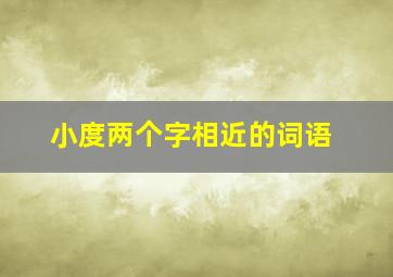 小度两个字相近的词语