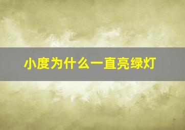 小度为什么一直亮绿灯