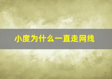 小度为什么一直走网线