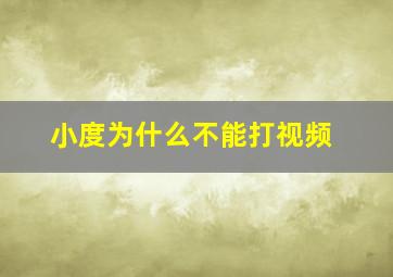 小度为什么不能打视频