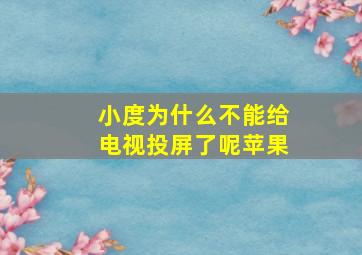 小度为什么不能给电视投屏了呢苹果