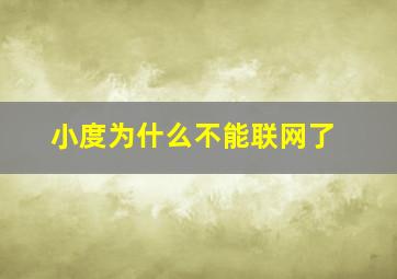 小度为什么不能联网了