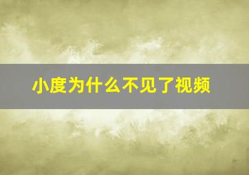 小度为什么不见了视频