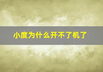 小度为什么开不了机了