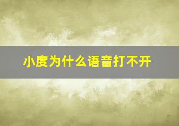 小度为什么语音打不开