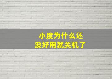 小度为什么还没好用就关机了