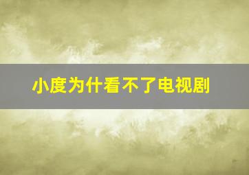 小度为什看不了电视剧