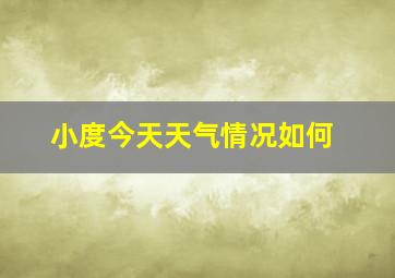 小度今天天气情况如何