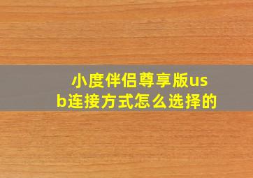 小度伴侣尊享版usb连接方式怎么选择的