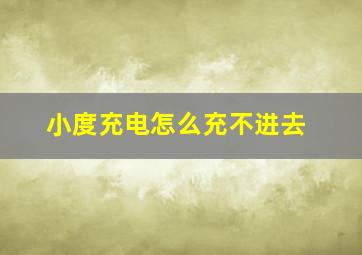 小度充电怎么充不进去