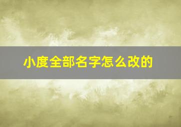 小度全部名字怎么改的