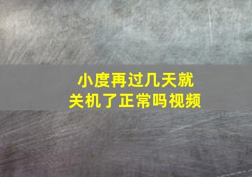 小度再过几天就关机了正常吗视频