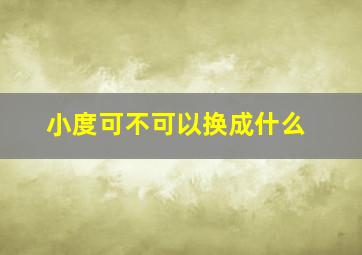 小度可不可以换成什么