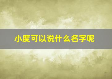 小度可以说什么名字呢