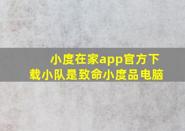 小度在家app官方下载小队是致命小度品电脑