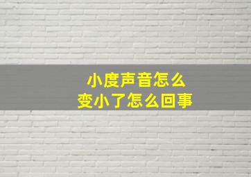 小度声音怎么变小了怎么回事