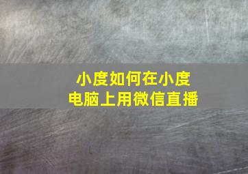 小度如何在小度电脑上用微信直播