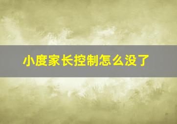 小度家长控制怎么没了