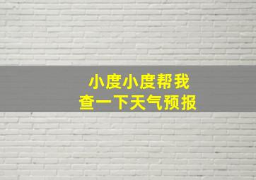 小度小度帮我查一下天气预报