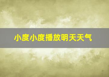 小度小度播放明天天气