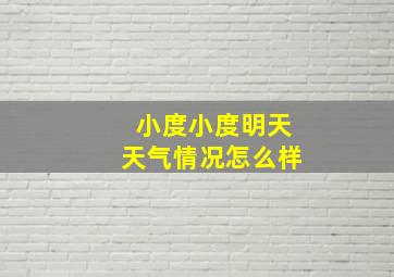 小度小度明天天气情况怎么样