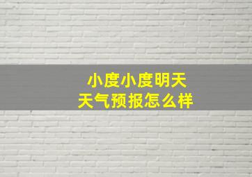 小度小度明天天气预报怎么样