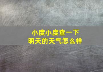 小度小度查一下明天的天气怎么样