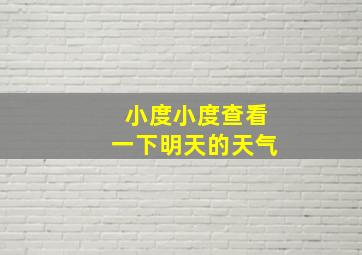 小度小度查看一下明天的天气