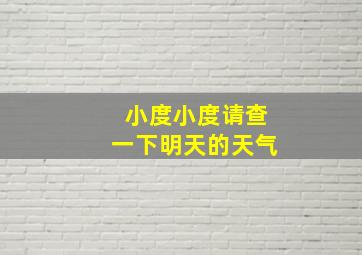 小度小度请查一下明天的天气