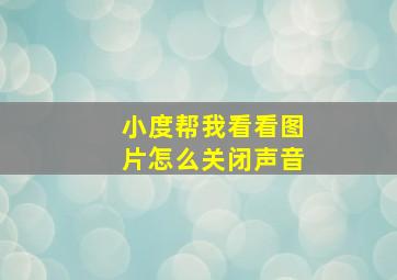 小度帮我看看图片怎么关闭声音