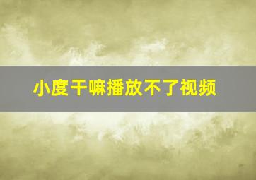 小度干嘛播放不了视频