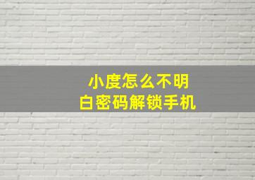 小度怎么不明白密码解锁手机