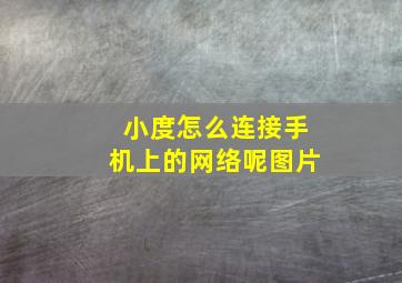 小度怎么连接手机上的网络呢图片