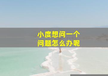 小度想问一个问题怎么办呢