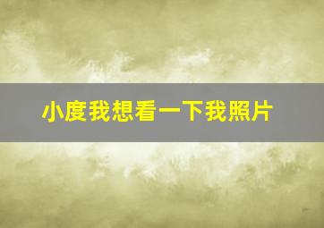 小度我想看一下我照片