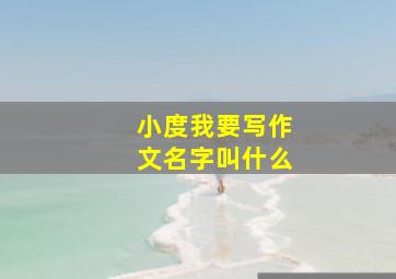 小度我要写作文名字叫什么